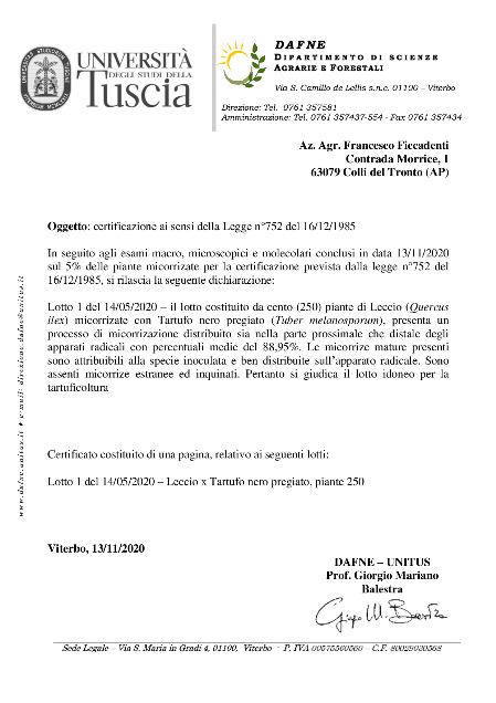 Certificazione piante da tartufo Certificazione piante tartufigene