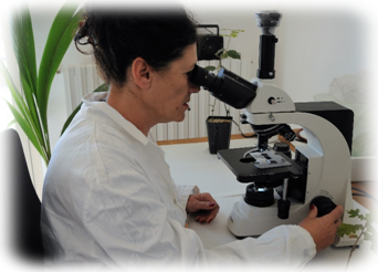 Controllo piante micorrizate Analisi microscopio piantine micorrizate